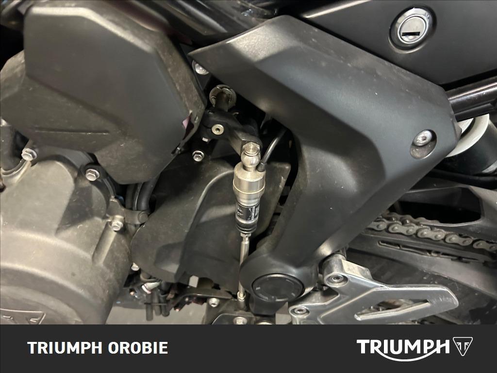 TRIUMPH Tiger Sport 660 Abs