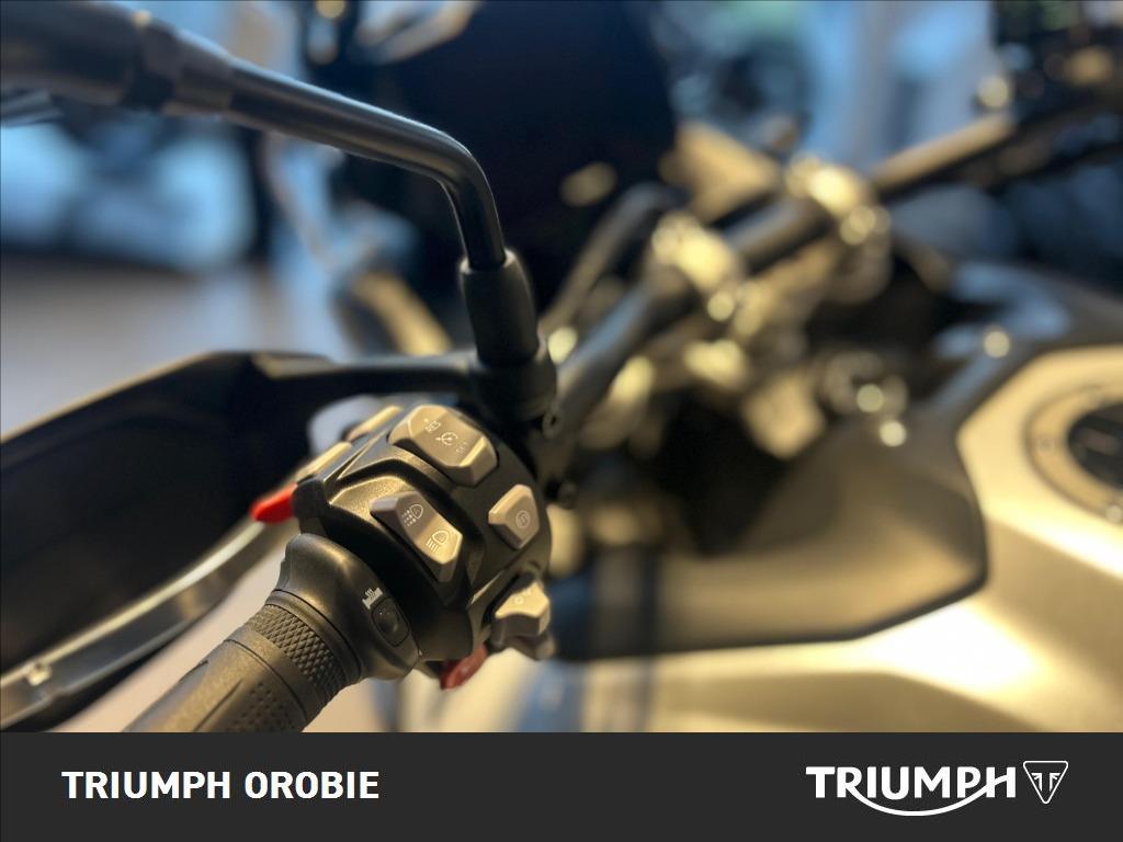 TRIUMPH Tiger 900 Alpine Edition