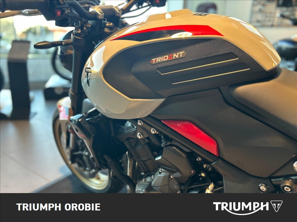 TRIUMPH Trident 800 Ash Grey Abs