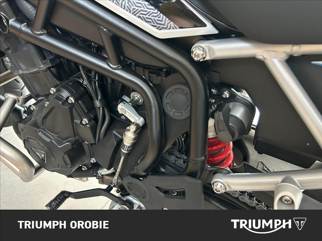 TRIUMPH Tiger 900 Alpine Edition