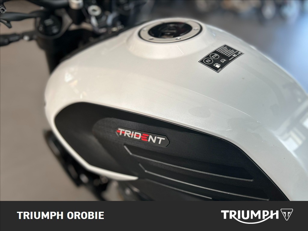 TRIUMPH Trident 660 Snowdonia White Abs